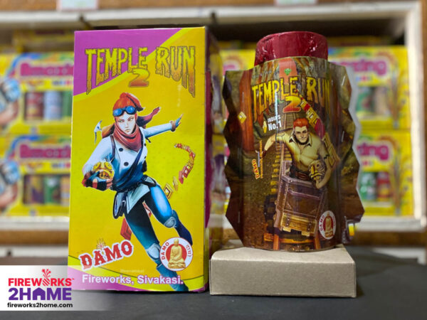 Temple Run 2 4 In 1 Flowerpot By Damo (pieces per box 1)